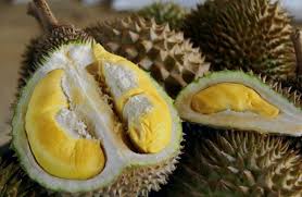 Durian Tupai King, Durian Premium Kalahkan Black Thorn